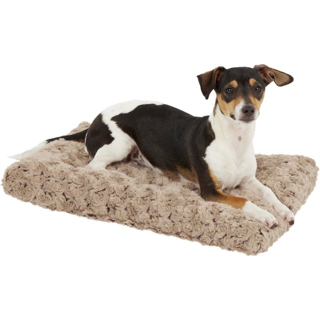 Pet shoppe dog bed best sale